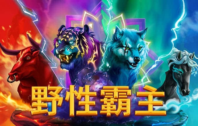 云开·全站APP官方网站
